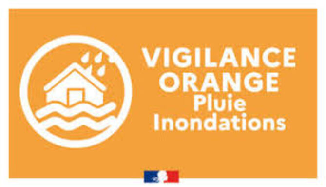 vigilance orange.jpeg