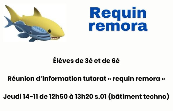 remora.odg.jpg